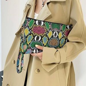 Multi- Colored Snake Skin Clutch Purse